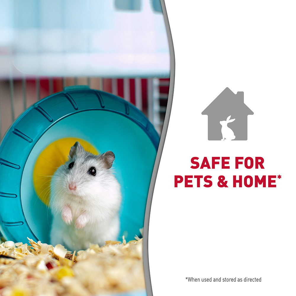 Used small animal sales cage